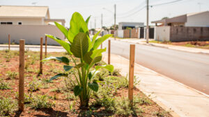Como comprar terreno para investir avaliando os riscos