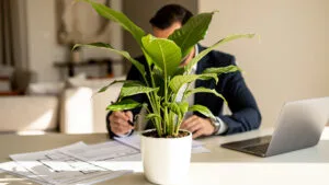 Due diligence imobiliária para investidores e riscos reais