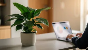 Inteligência artificial para corretores: regras e prática