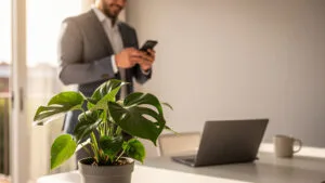 Como usar o whatsapp para corretores de imóveis